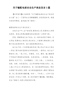 关于输配电部安全生产表态发言3篇