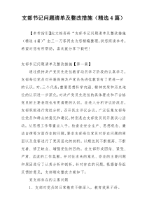 支部书记问题清单及整改措施（精选4篇）