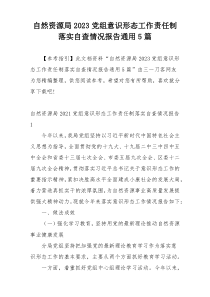 自然资源局2023党组意识形态工作责任制落实自查情况报告通用5篇