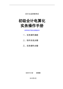 初级会计电算化实务手册(金算盘)