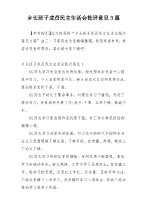 乡长班子成员民主生活会批评意见3篇