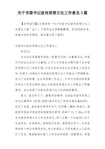 关于市委书记宣传思想文化工作意见3篇