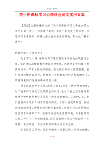 关于新课标学习心得体会范文实用5篇