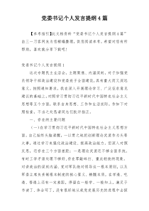 党委书记个人发言提纲4篇