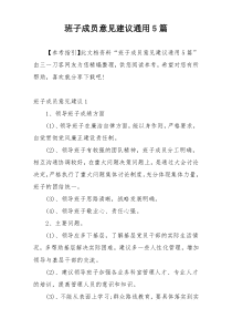 班子成员意见建议通用5篇