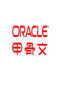 Oracle商务解决方案呾忠诚度解决方案劣力品牌发展