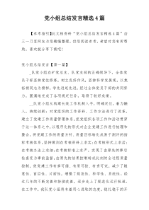 党小组总结发言精选4篇