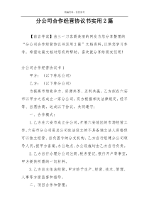 分公司合作经营协议书实用2篇