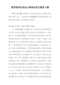 团员组织生活会心得体会范文通用4篇