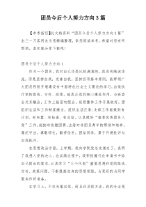 团员今后个人努力方向3篇