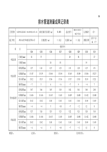 C6排水管道测量成果记录表