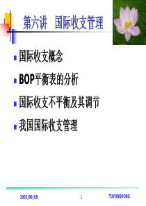 国际收支管理(3)