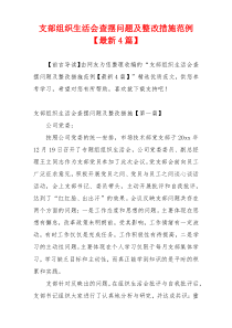 支部组织生活会查摆问题及整改措施范例【最新4篇】