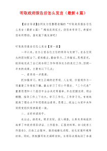 听取政府报告后怎么发言（最新4篇）