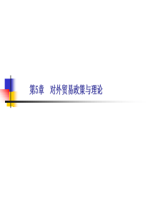 国际经济学第5章