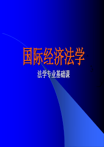 国际经济法学(第一章)