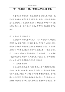 关于大学会计实习报告范文范例3篇