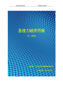 圣佳力经济月报(十一月刊)