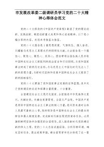 市发展改革委二级调研员学习党的二十大精神心得体会范文