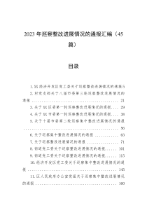 2023年巡察整改进展情况的通报汇编（45篇）