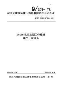 300MW火电机组定期工作标准-电气一次设备