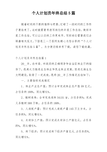 个人计划员年终总结5篇