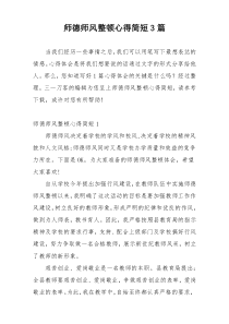 师德师风整顿心得简短3篇