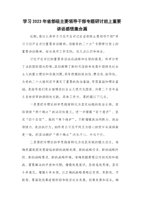 学习2023年省部级主要领导干部专题研讨班上重要讲话感悟集合篇