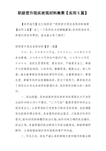 职级晋升现实表现材料集聚【实用5篇】