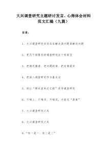 大兴调查研究主题研讨发言、心得体会材料范文汇编（九篇）