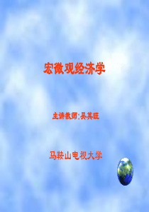 宏微观经济学（推荐PPT219）