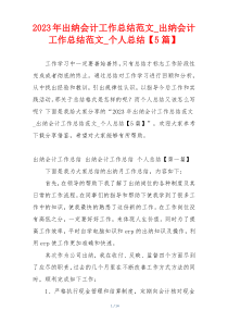 2023年出纳会计工作总结范文_出纳会计工作总结范文_个人总结【5篇】