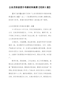 公务员职级晋升考察材料集聚【范例5篇】