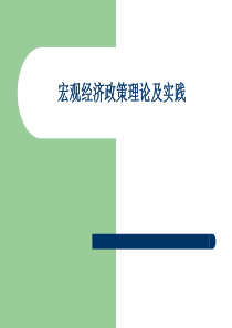 宏观经济政策理论及实践