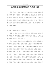 公司员工试用期转正个人总结5篇