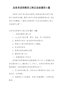 业务员试用期员工转正总结通用4篇