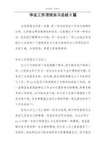 毕业工作顶岗实习总结2篇