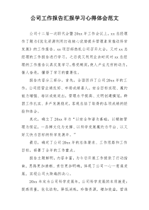 公司工作报告汇报学习心得体会范文