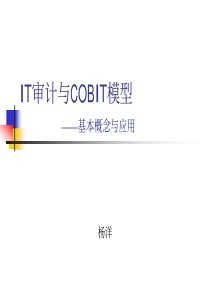 杨洋_IT审计与Cobit模型