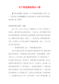 关于推选提拔理由4篇