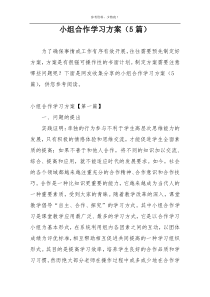 小组合作学习方案（5篇）