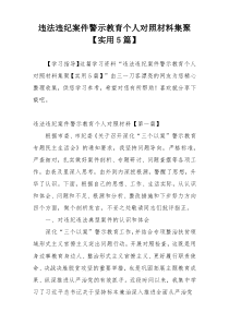 违法违纪案件警示教育个人对照材料集聚【实用5篇】