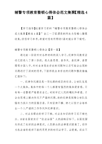 辅警专项教育整顿心得体会范文集聚【精选4篇】