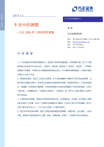 方正证券-06年三季度投资策略-牛市中的调整pdf19