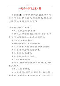 小组合作学习方案4篇