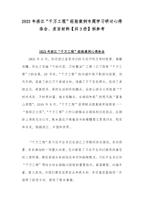 2023年浙江“千万工程”经验案例专题学习研讨心得体会、发言材料【共3份】供参考