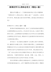 新课改学习心得体会范文（精选4篇）