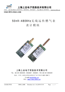 50mW-480MHz无线远传燃气表表计模块