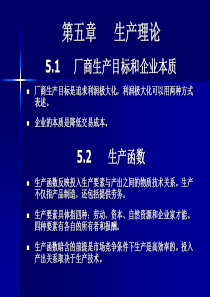 微观经济学 第五章