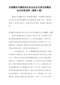 巡视整改专题组织生活会会议记录巡视整改会议纪要范例（最新4篇）